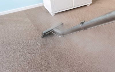 How Do You Pick a Good Carpet Cleaner?